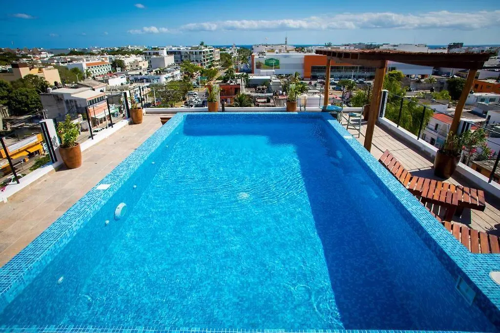 דירה פלאייה דל כרמן Wonderful Loft Near The 5Th Ave And The Beach.